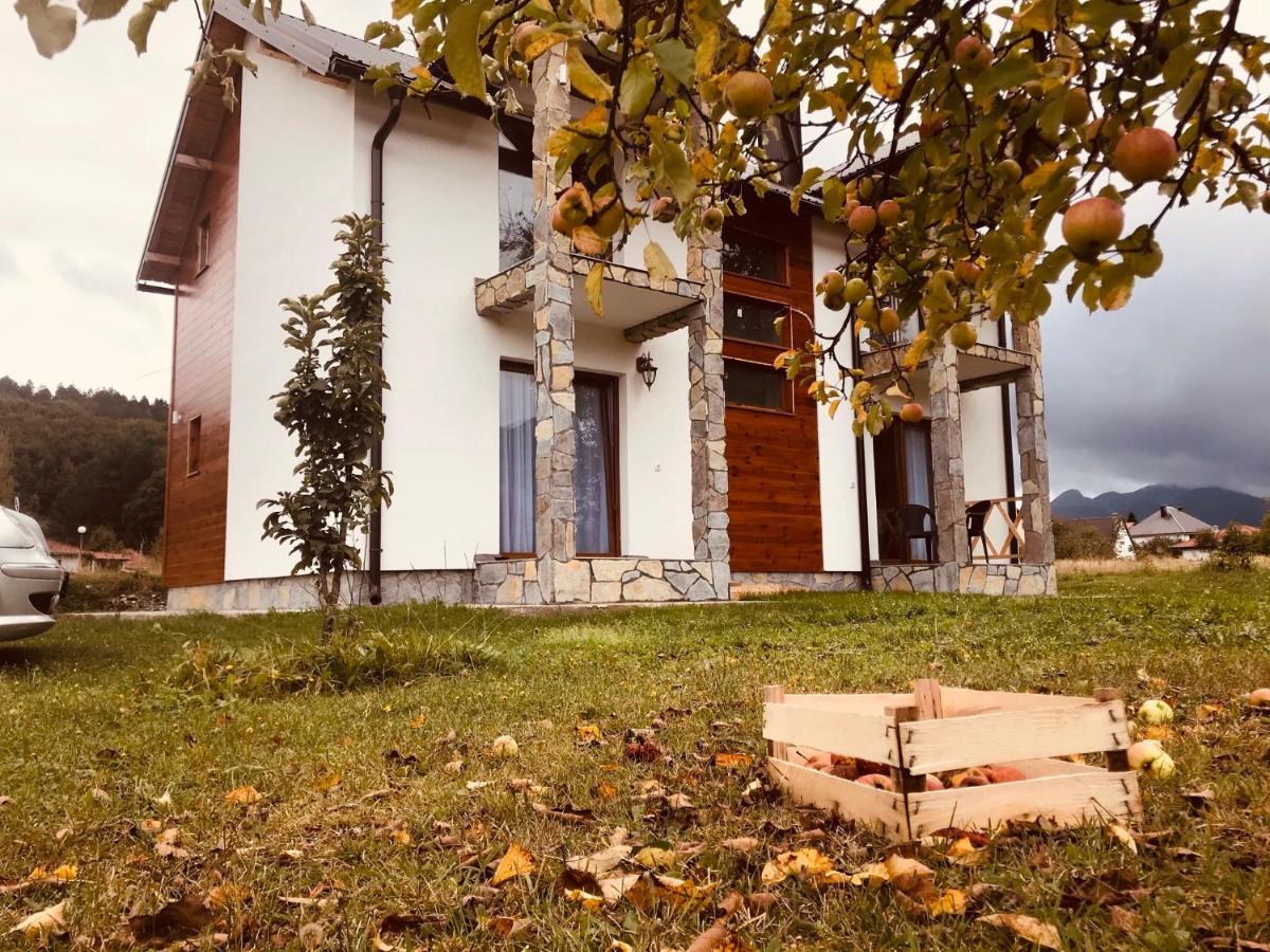 Vila Montenegrina Kolasin Exterior photo